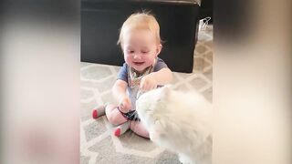 Babies play with Dogs & cats