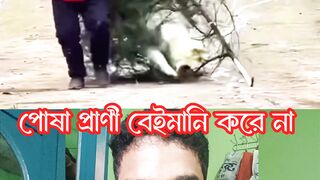 পোষা প্রাণী বেইমানি করে না