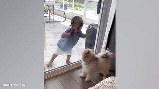 Dog as a big brother
