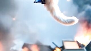 Cat warrior
