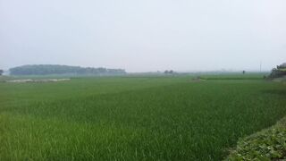 Our Beautiful Village