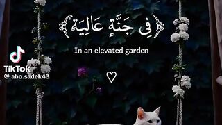 Vedio not mine:Beautiful recitation????