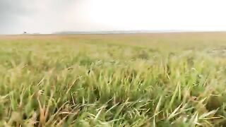 A moment of after coming Rain????️