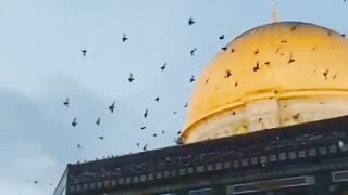 ????✅Islamic topic bangal video