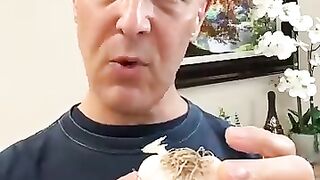 Cold virus