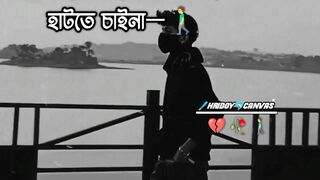 হারিয়ে ফেলেছি মানসিক শান্তি..