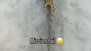Mission fail