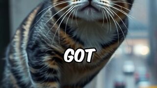 Naughty Friends Win Hearts #cats #catlover #animal #short #shorts  #cocomelon