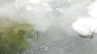 Fish মাছ, পুকুরে চুন