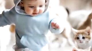 Cute baby with many cats