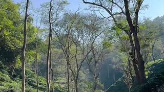 Sreemangal Weather