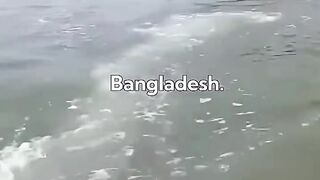 Bangladesh… ....#bangladesh #ship #trend #trending #ar7 #edit #fyp #viralvideos