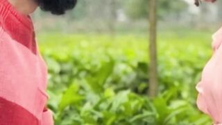 aashiqui3_#viralvideo_#kartikaaryan_#sreeleela_#viralshort