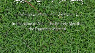Quran #quran #islamic_video