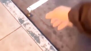 A little duckling got lost from its mother #Projects #Explore