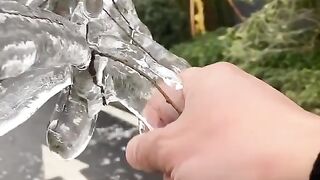 ice world