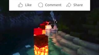 Best Viral Video 2025