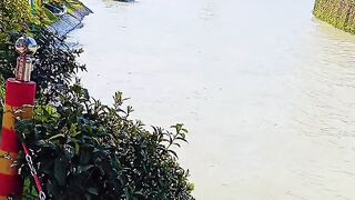 Speedboat Riding