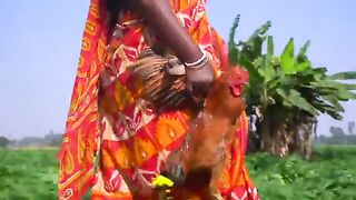 Village Famous Unity Chicken Curry