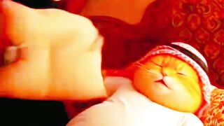 funy cat