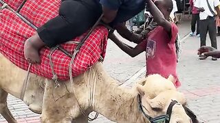 Funny video