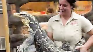 Safari