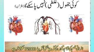 Shariat Ke Masail Seekhain