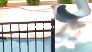 Funny Moments #funny #moments