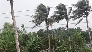 কাল বৈশাখী ঝড়ের কবলে