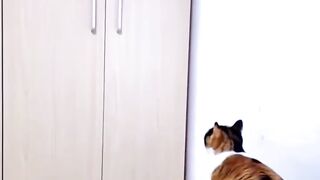 Funny Time