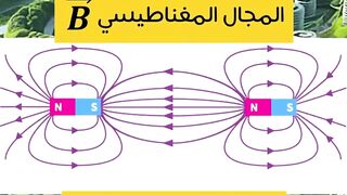ما الفرق بين المجال الكهربائي والمجال المغناطيسي؟