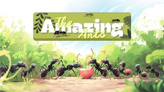 The Amazing Ants
