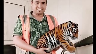 একটা বাঘের বাচ্চা ফেলাম