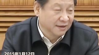 中国的习主席