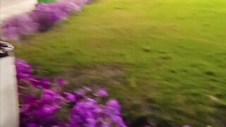 Amazing place