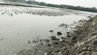 the river