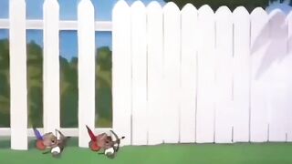 Tom and Jerry  (1)