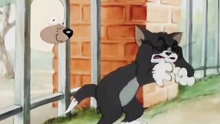 Tom and Jerry  (4)