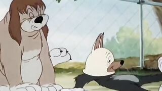 Tom and Jerry  (6)