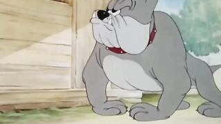 Tom and Jerry (7).