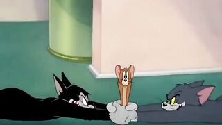 Tom and Jerry  (9)
