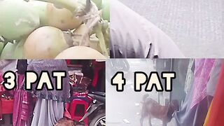 ছাগলের ভাইরাল ভিডিও ????????