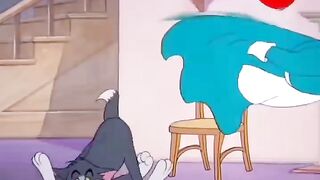 Tom and Jerry (11)