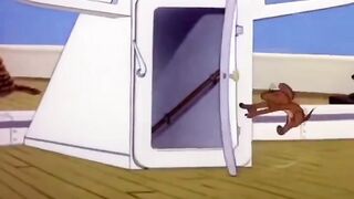 Tom and Jerry  (16)