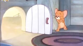Tom and Jerry  (17)