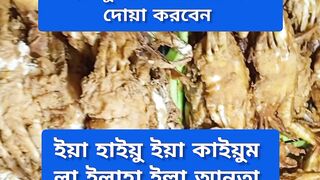 তাহাজ্জুদ এর নামাজের সময় দোয়া করবেন