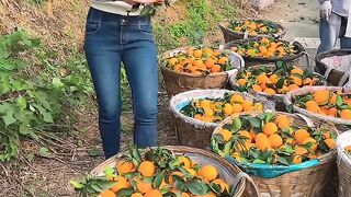 So Amazing orange ????????????