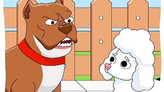 Save the dog