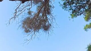 Febspot video Like Subscribe Follow