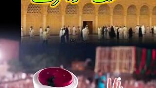 Tahir ul qadri